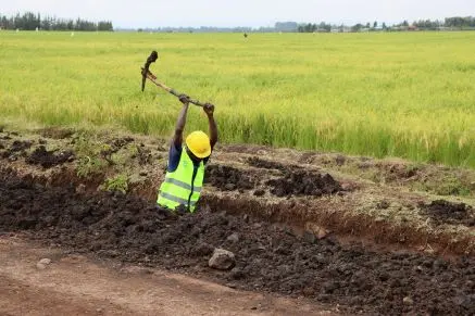 Norwa Africa community project